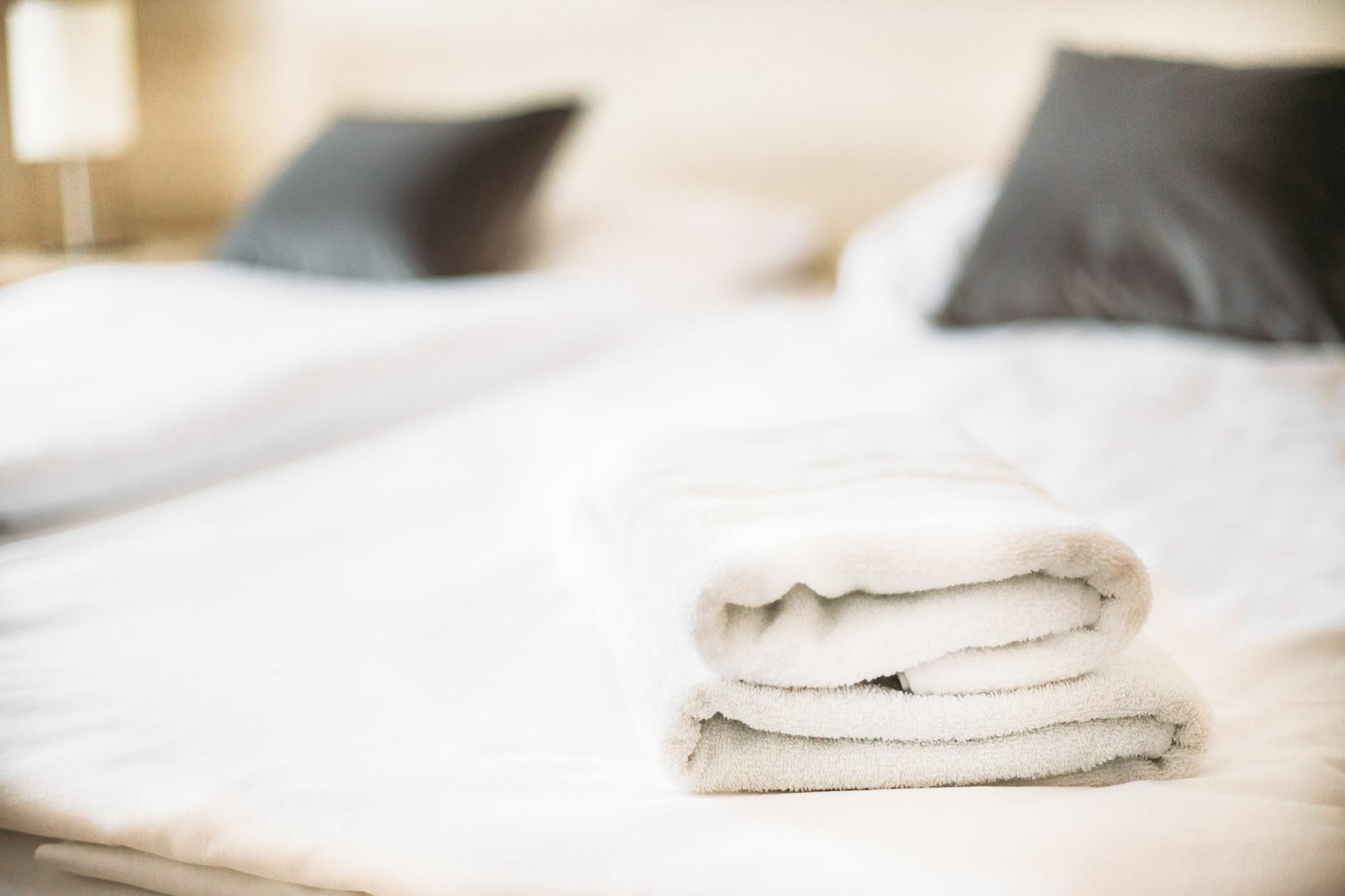 Mynext - Rudy Hotel