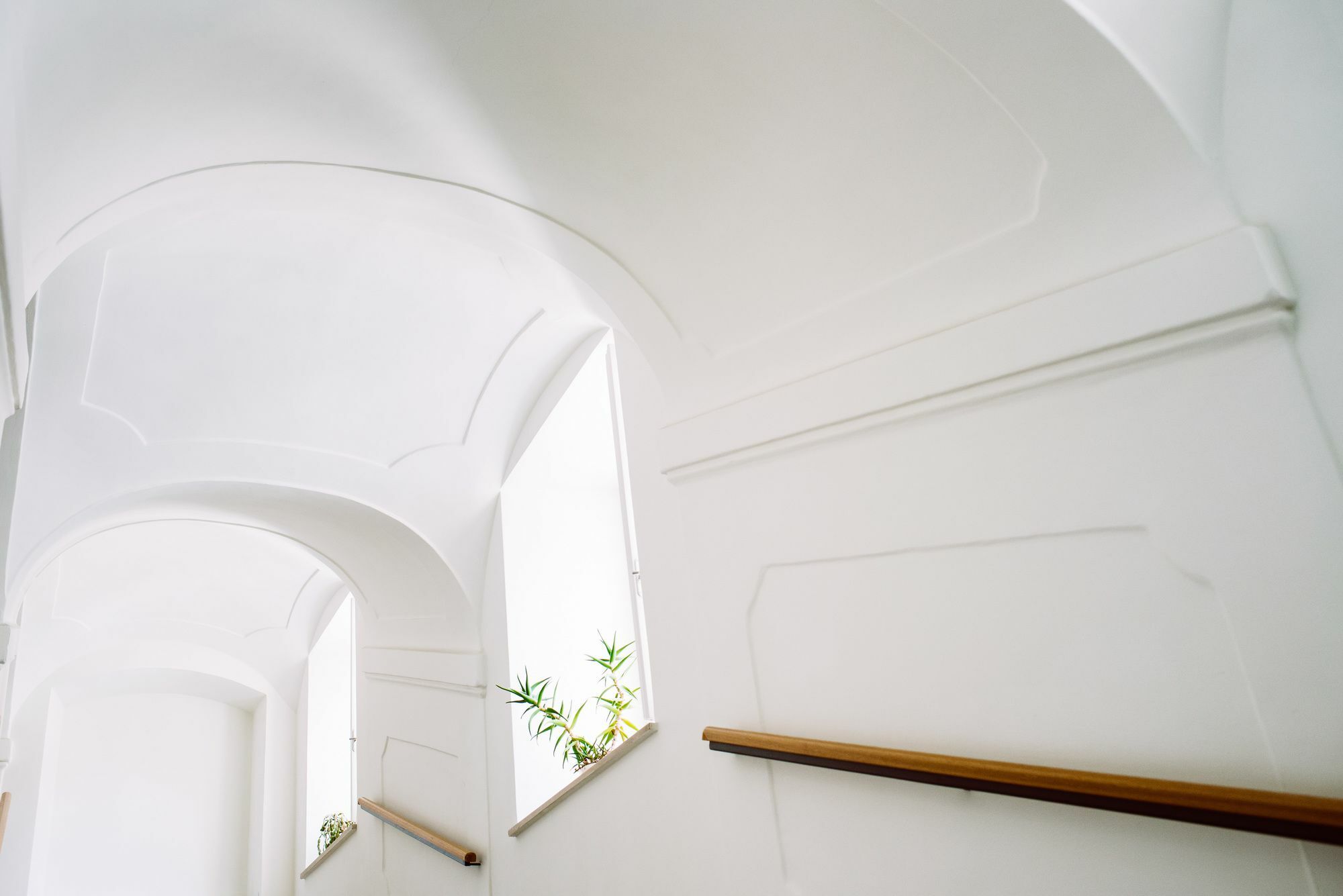 Mynext - Johannesgasse Viena