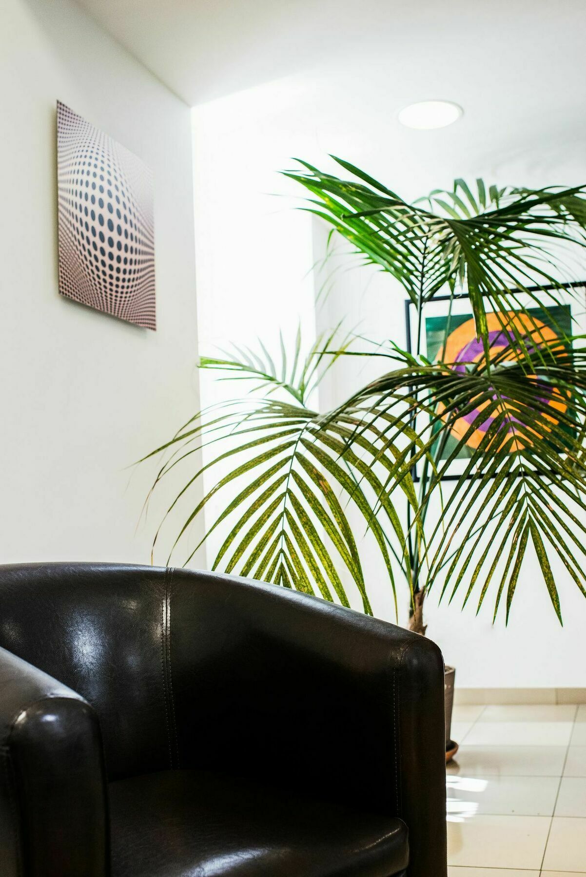 Aparthotel Mynext - Johannesgasse