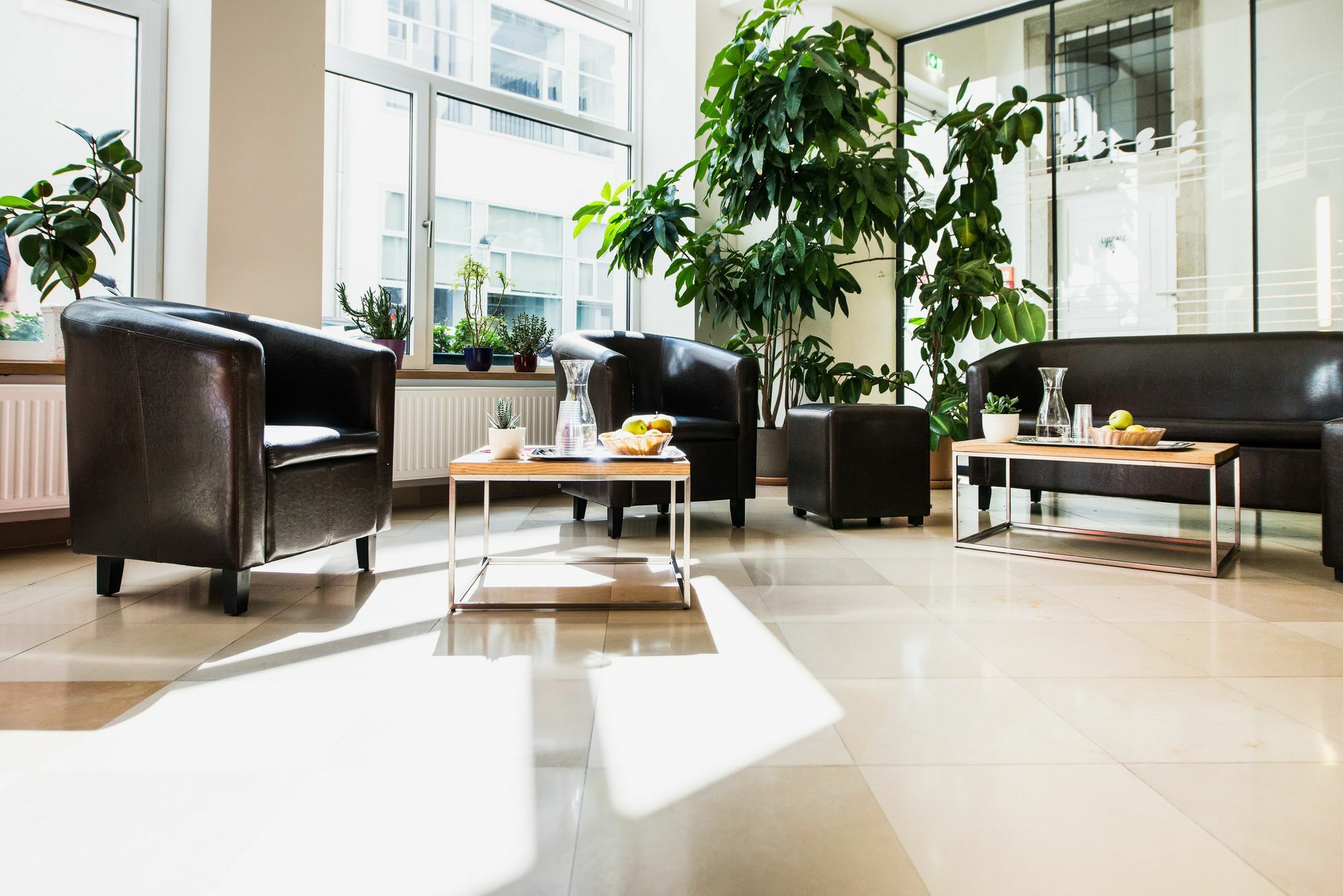Mynext - Johannesgasse 3*