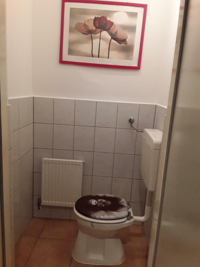 Apartment Diana-contactless Check-in! Vienna