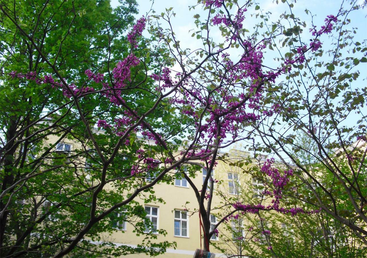 Zieglergasse *
