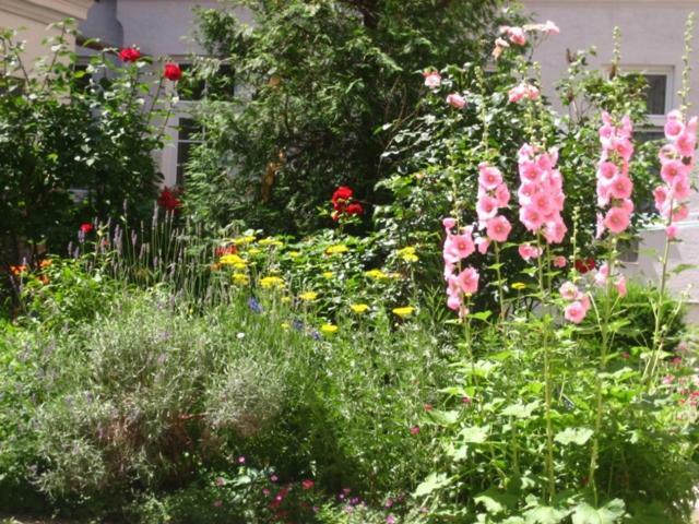 Apartment Freundliches Mit Innenhof-garten