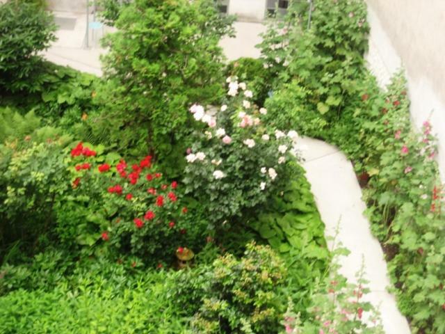 Apartment Freundliches Mit Innenhof-garten