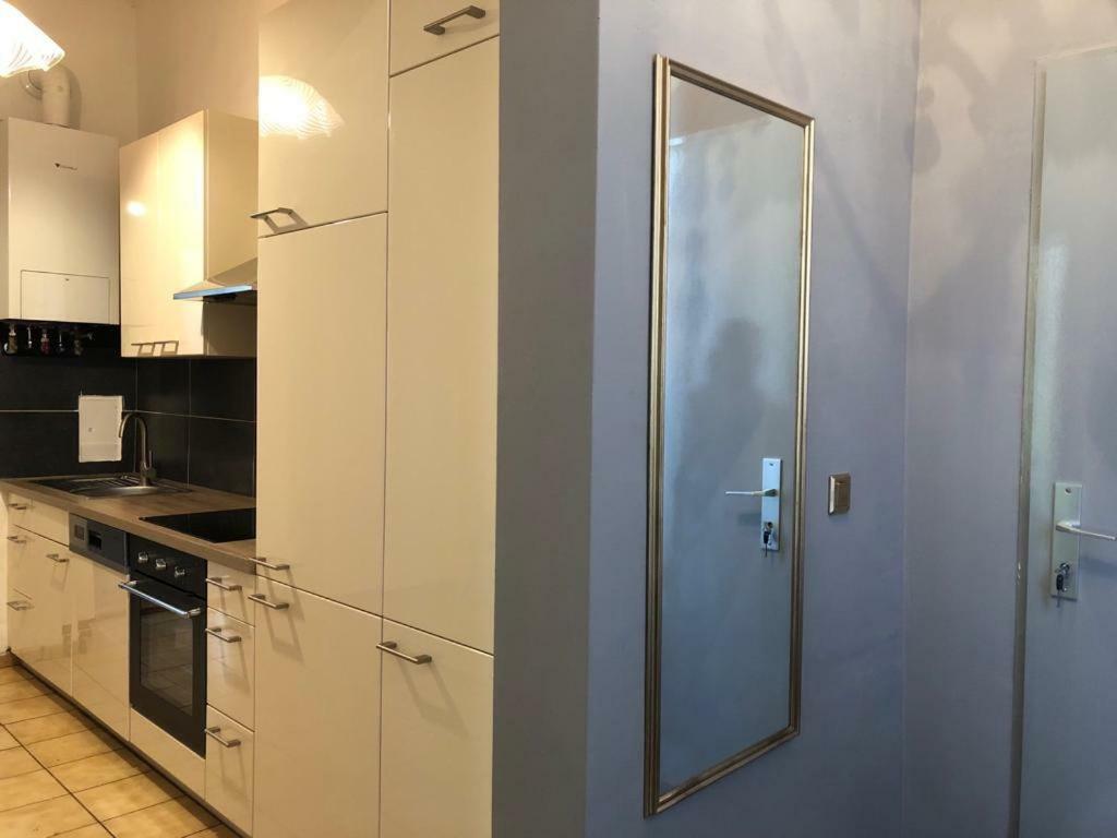 Apartment Burghardtgasse Vienna