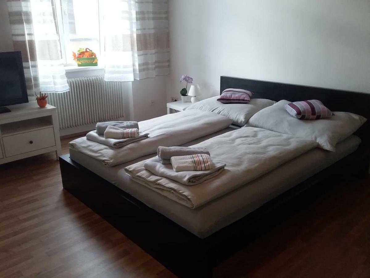 Apartment Alser *
