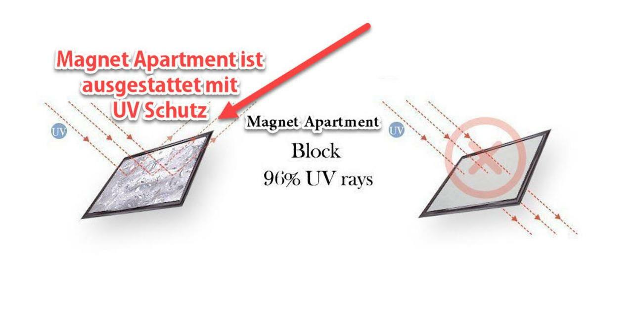 Magnet Vienna
