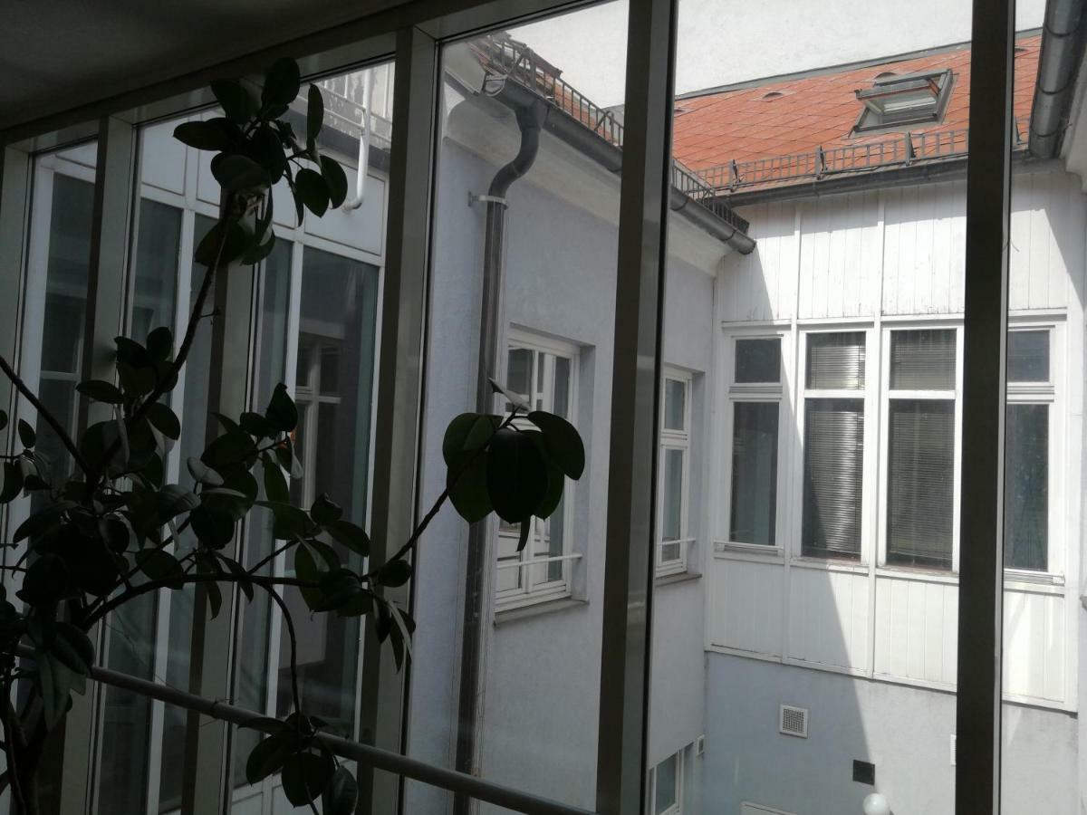 Alina's * Vienna