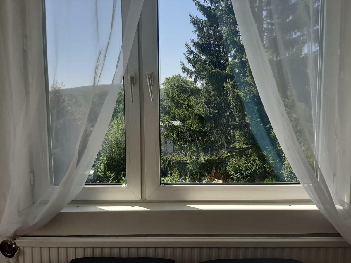 Haus Apricum - Schoen Wohnen & Gratis Parken Apartment *