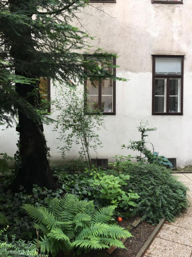 Grüne Hinterhofoase Mitten Im Neunten