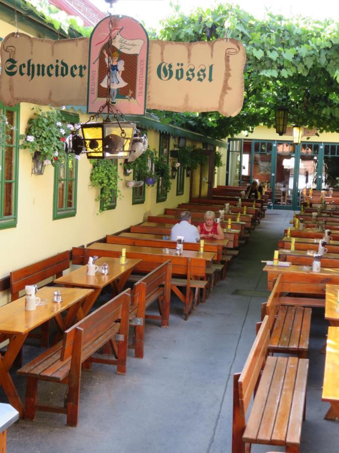 Schneider-goessl