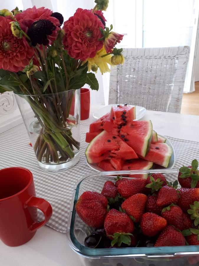Altbautraum Springergasse - Toplocation Apartment Vienna