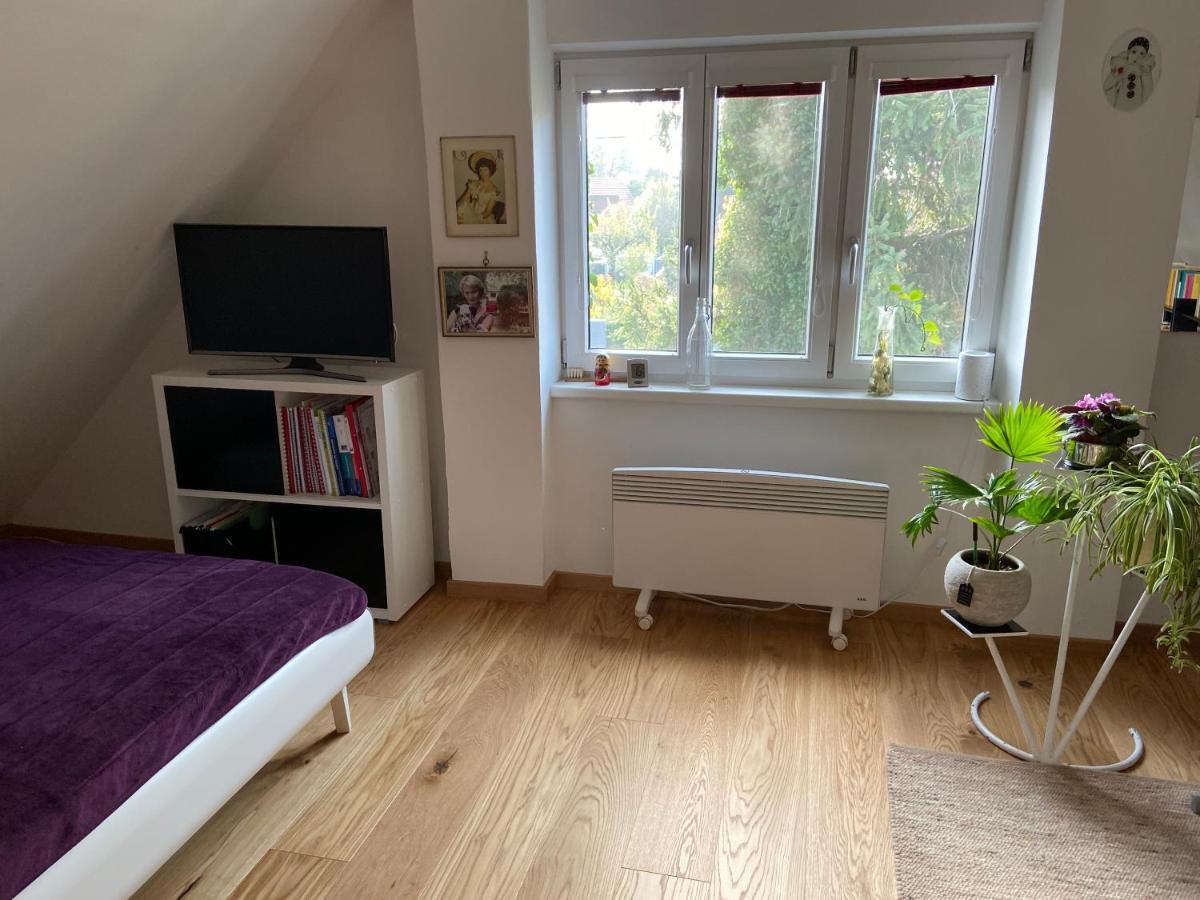 Homestay Cavallina Private For Ladies