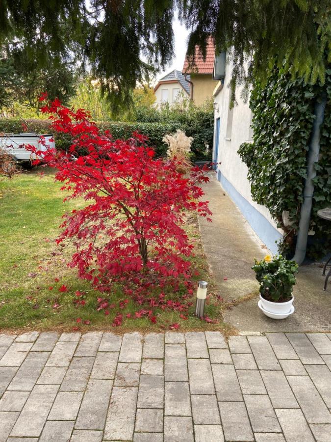 Cavallina Private For Ladies Privatunterkunft Wien
