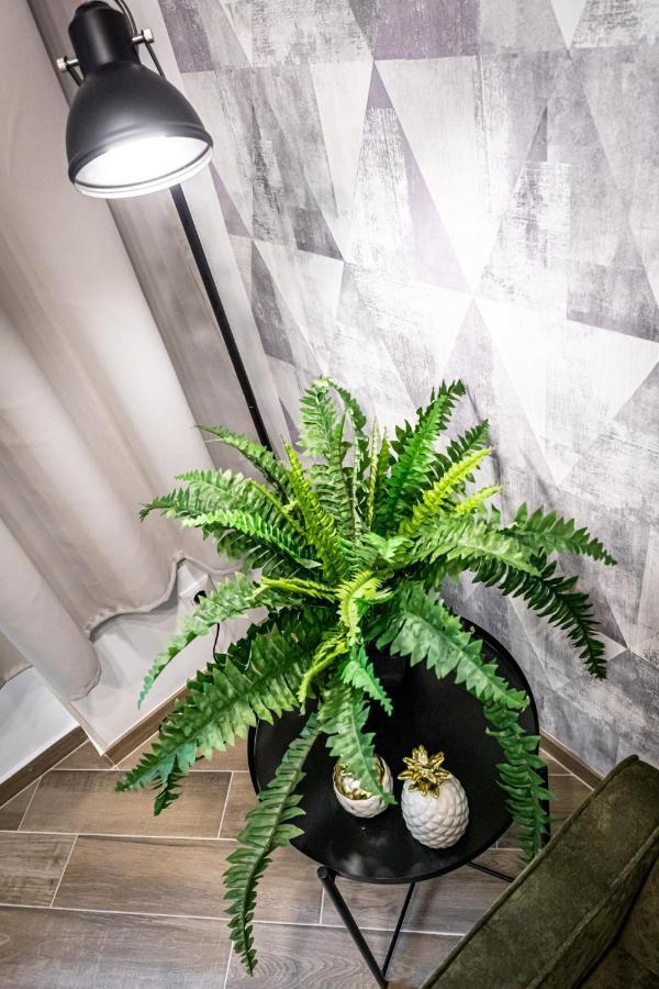 Apartment Zeus Design *
