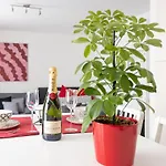 New Shalalaliving Vienna - Lovenest Or Workspace Near Schoenbrunn Bg