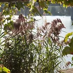 Strandhotel Alte Donau