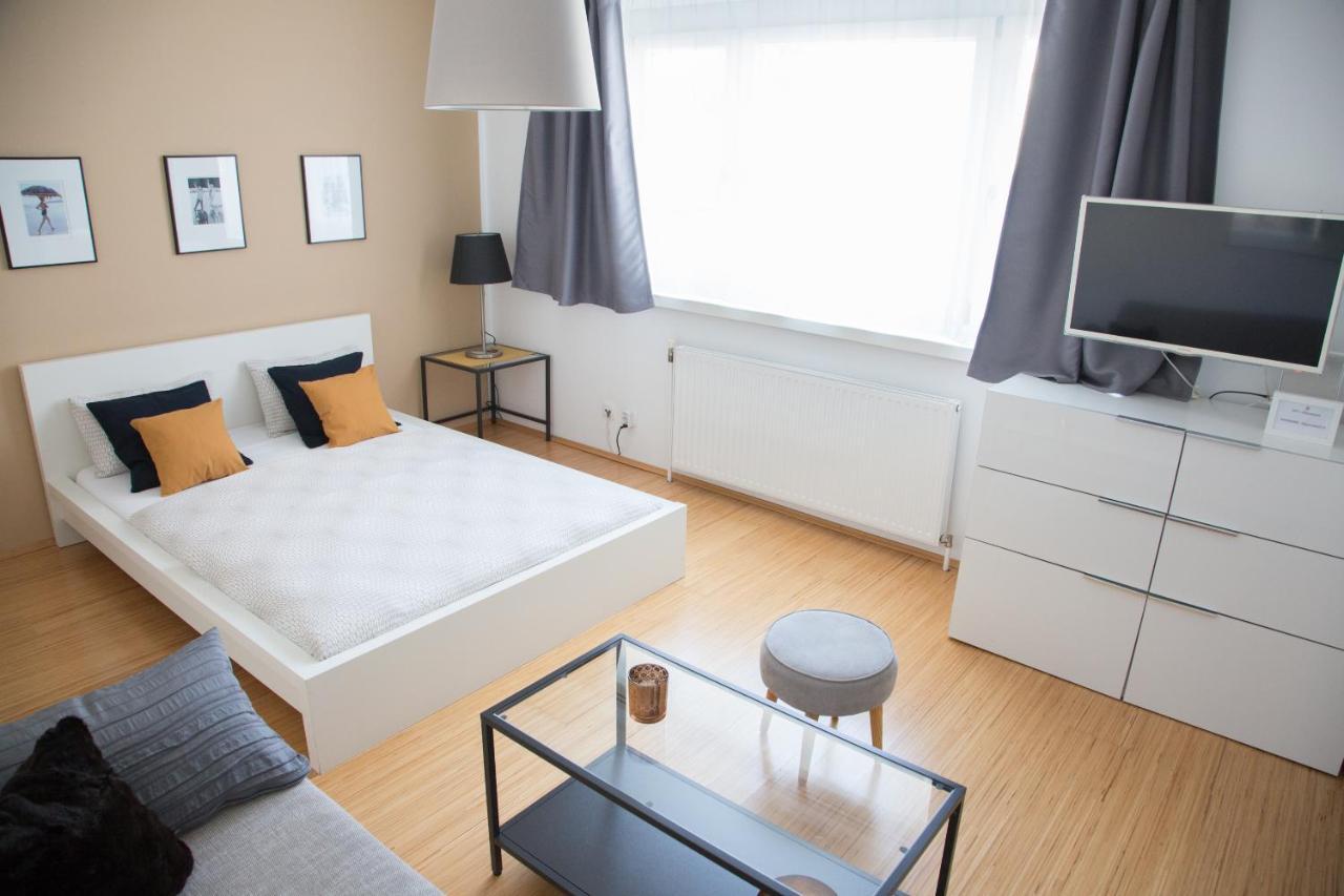 All You Need Apartment