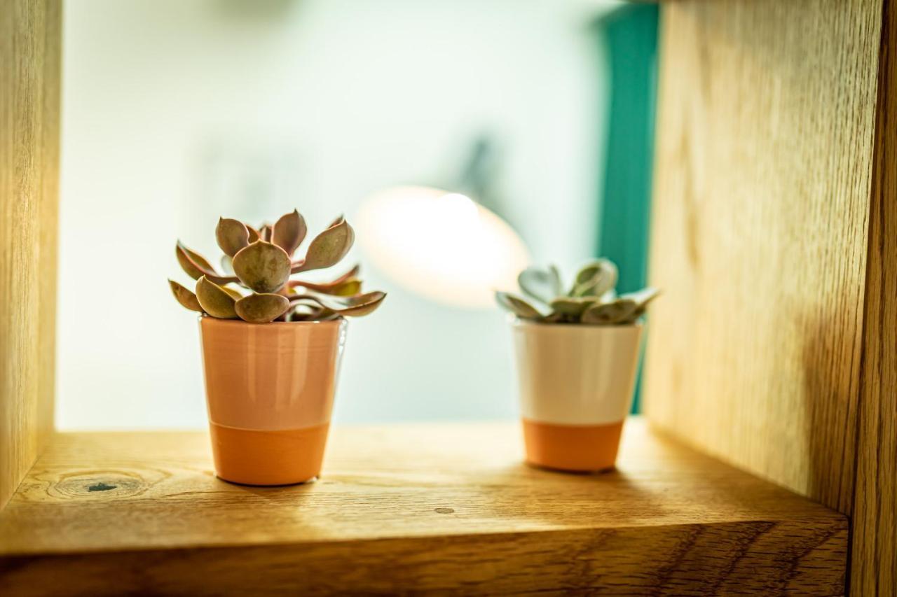 Apartamento D&v Living