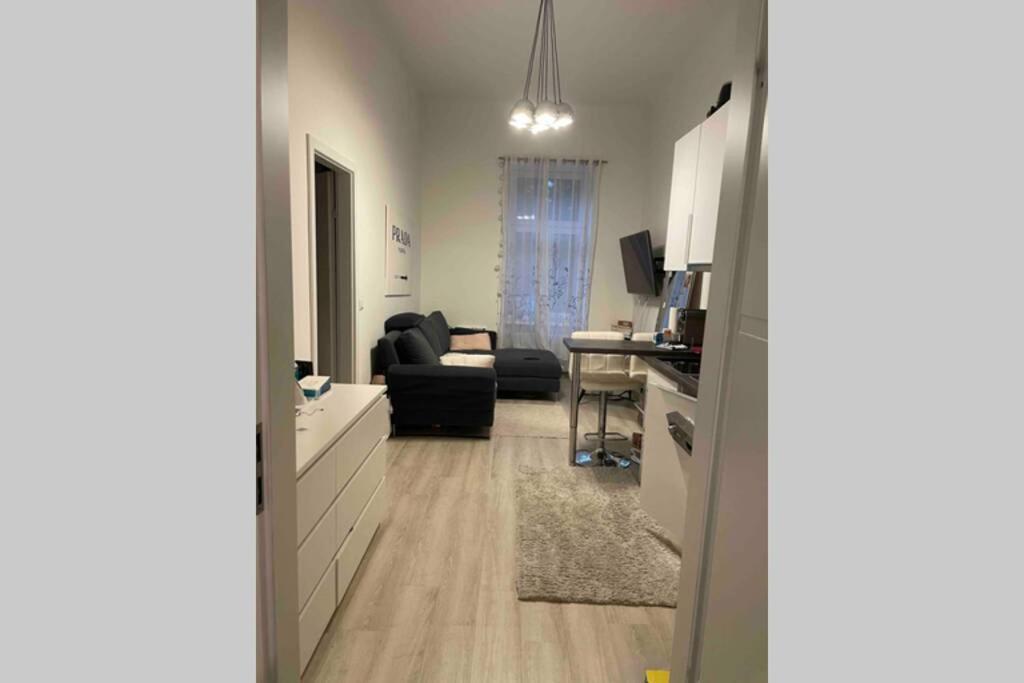Comf. Apart Near The - 13 Minutes To 1st Apartment Vienna
