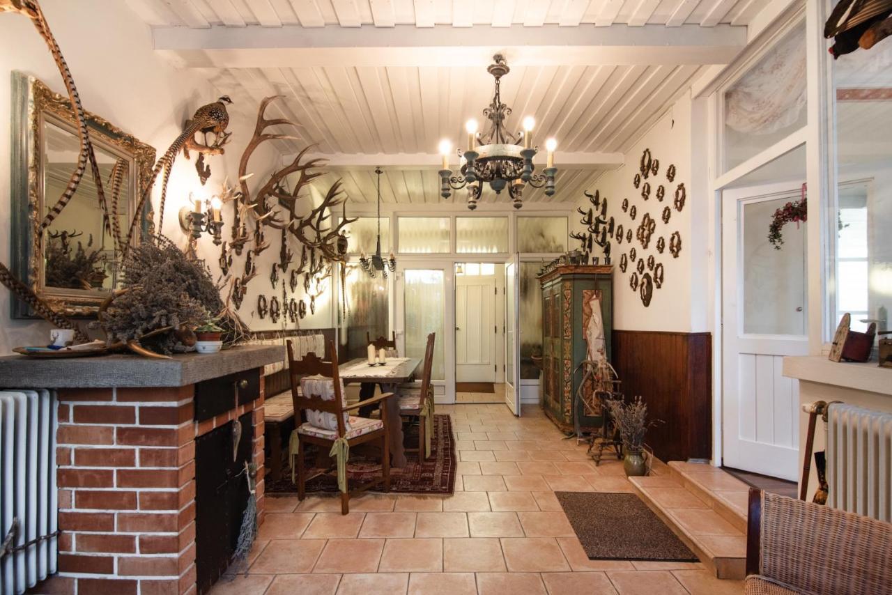 Apartment Renoviertes Mit Garten In Ruhelage