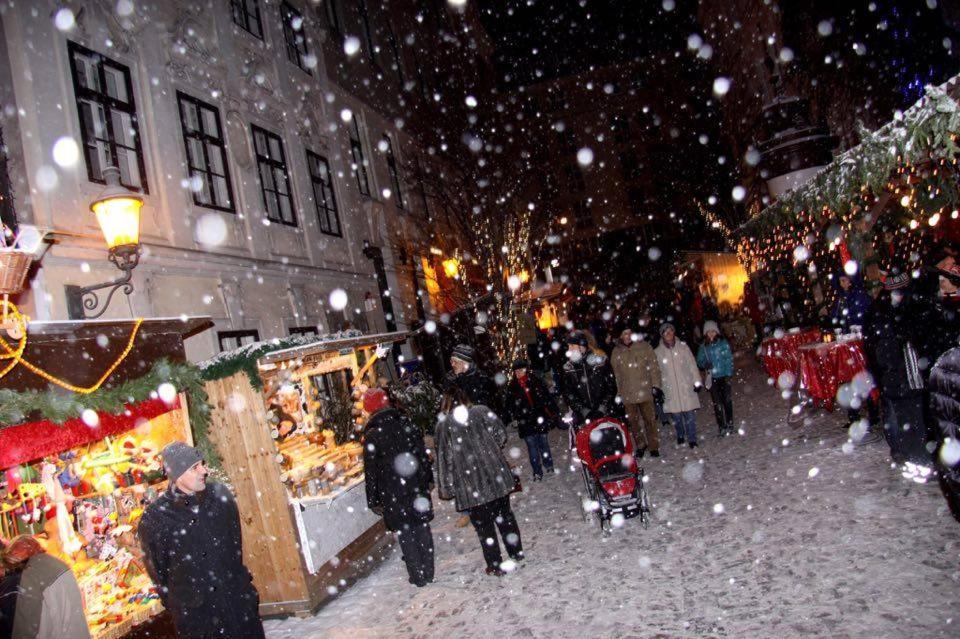 Homestay City And Vienna