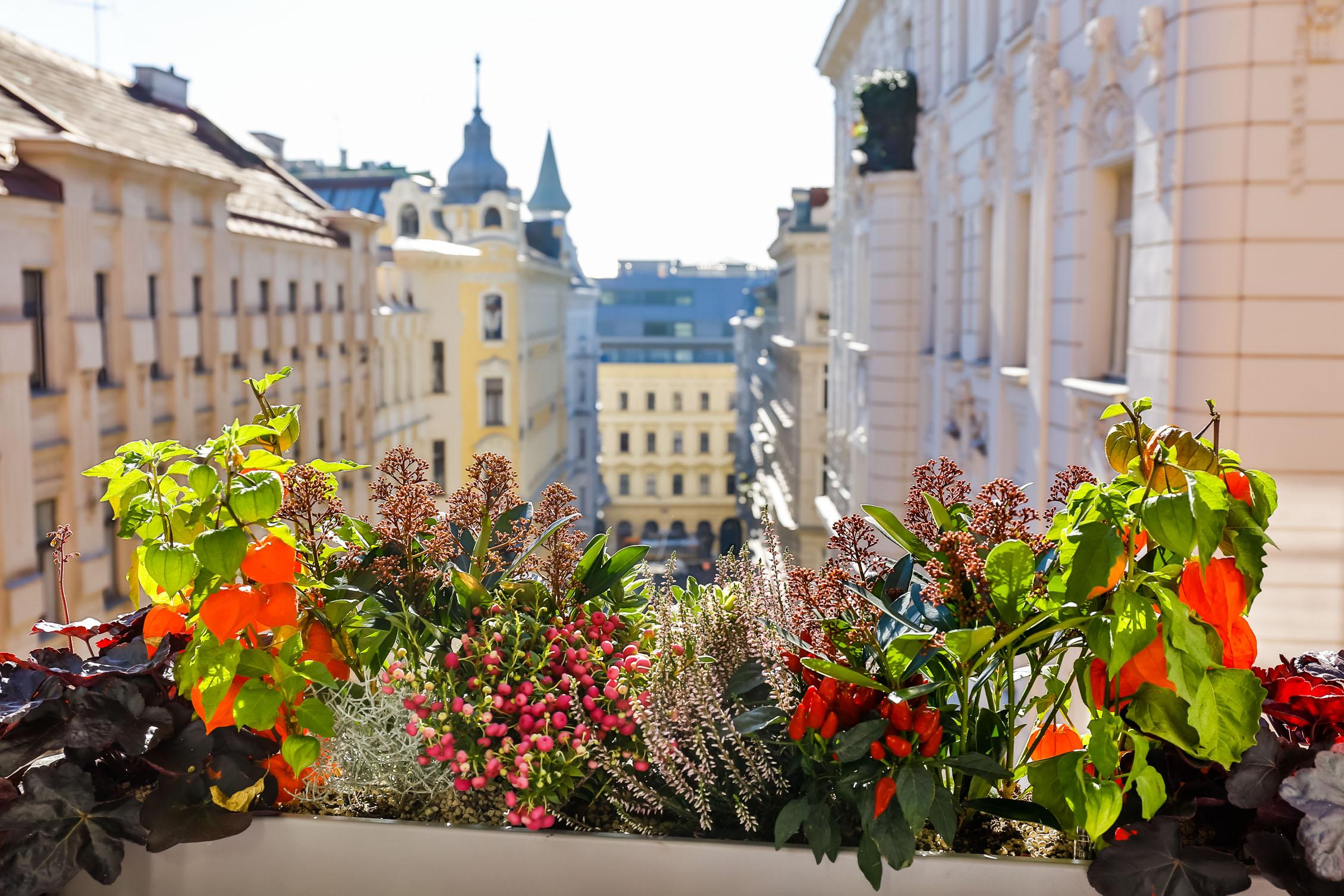 Boutiquehotel Tyrol