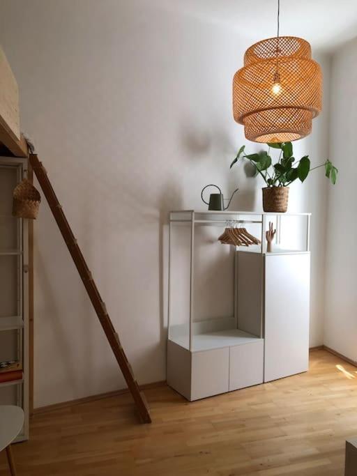 Apartamento Neues, Gemuetliches Im Zentrum In Ruhelage Viena