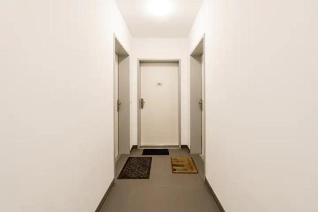 Near Lake Fully Furnished Beautiful Apartment Vienna