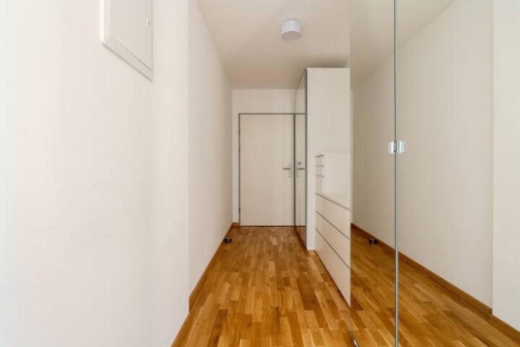 Near Lake Fully Furnished Beautiful Apartment Vienna