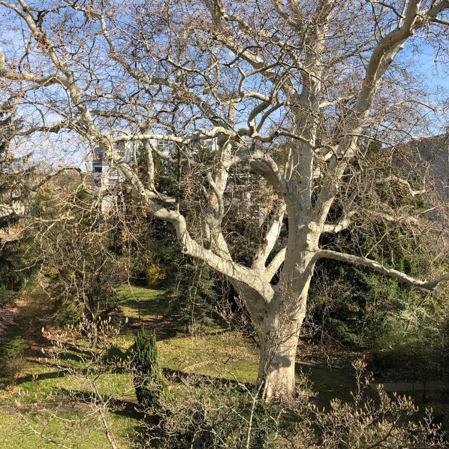 Garni 