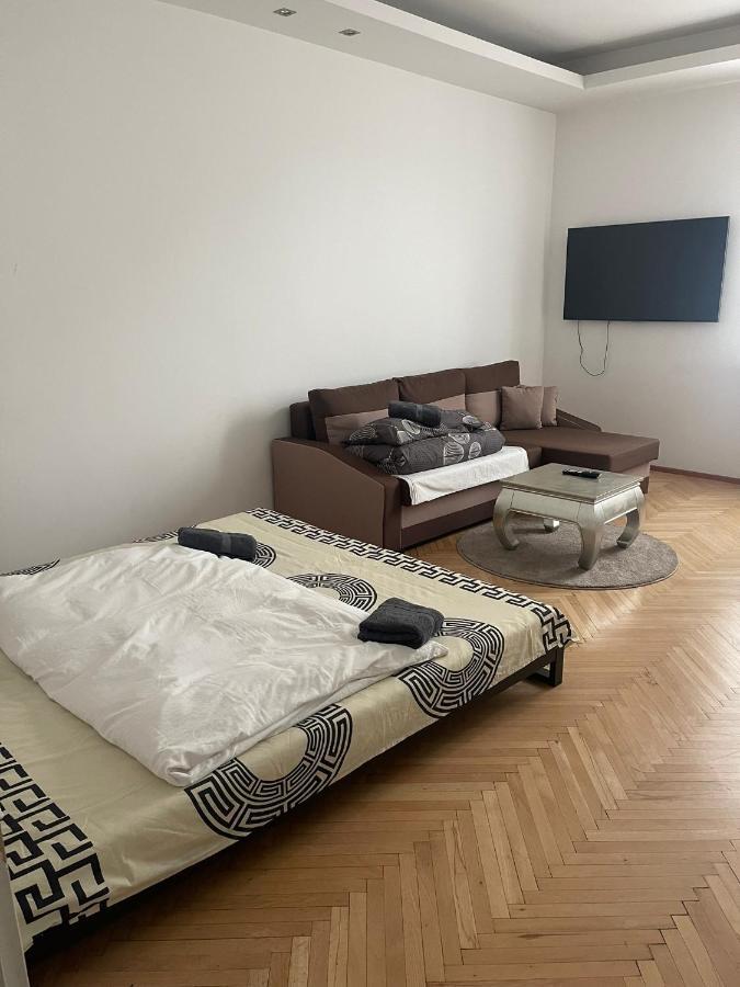 Schöne In Der Wiener Innenstadt