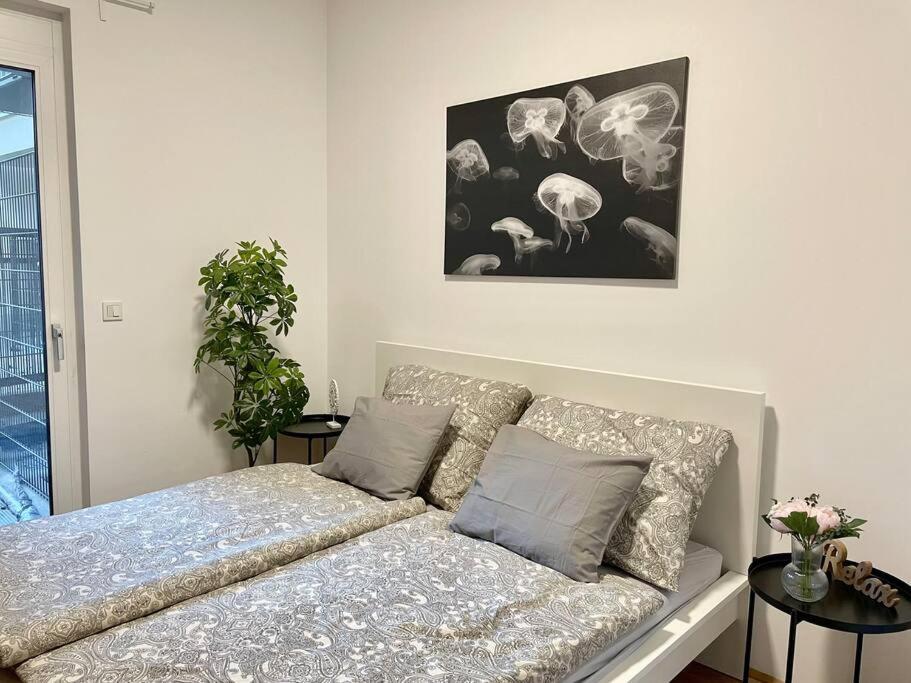 Premium With Terrace, A/c, Free Wifi And Netflix
