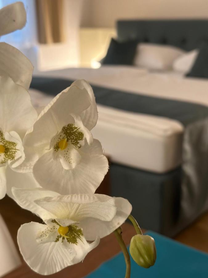 Sweet - A Cozy Welcome Apartment Vienna