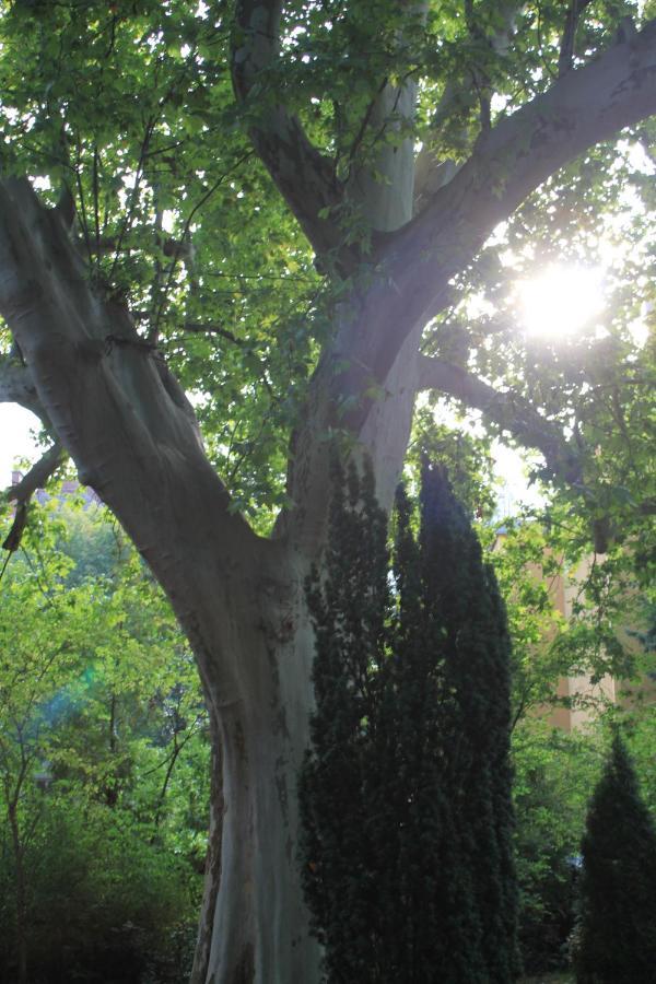 Garni 