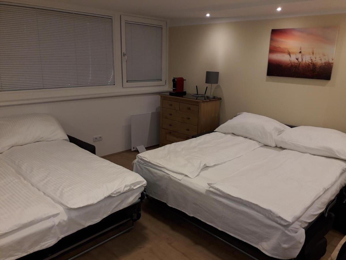 Cosy Flat In The Quiet Area With Own Garden, Free Parking And Direct Public Transport Link To The Centre *