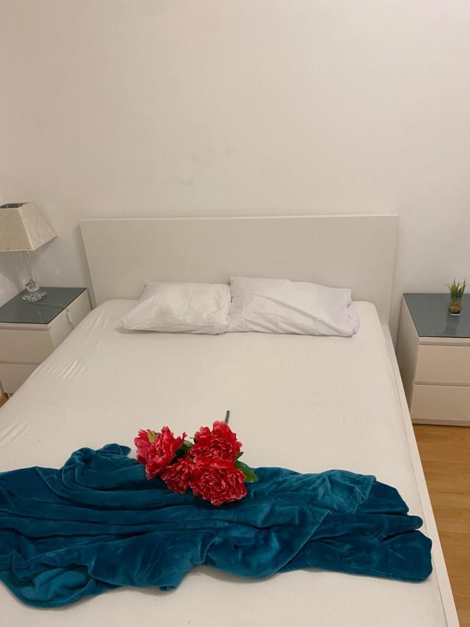 Grosszugiges 2-br-apt Im Zentrum Vienna