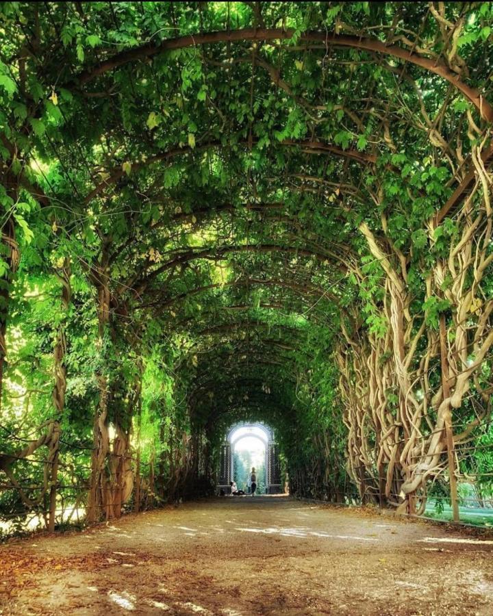 10 Min Walk To Schonbrunn L Deluxe *