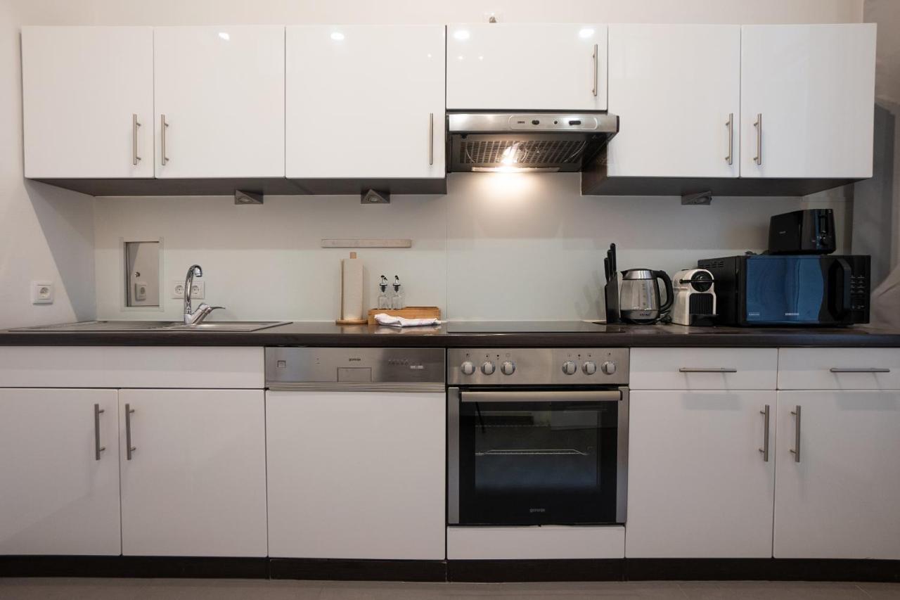 Spacious 110м2 Flat In The Center Apartment Vienna