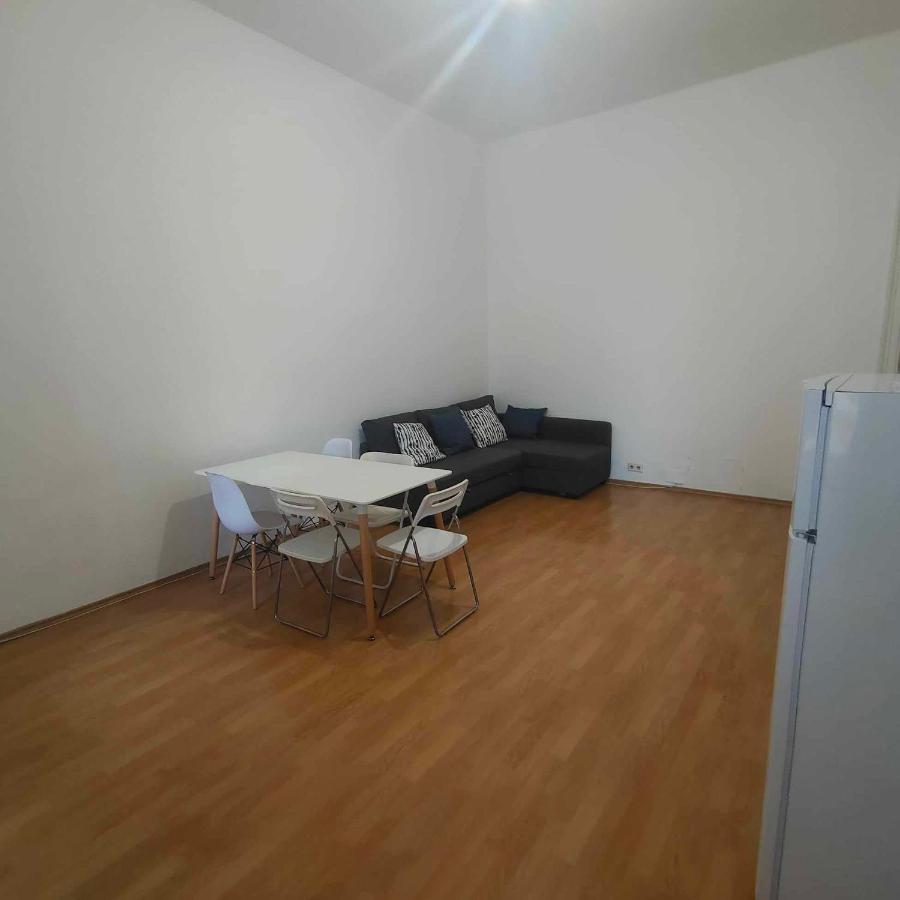 Apartment Large 4 In The Center Of Vienna