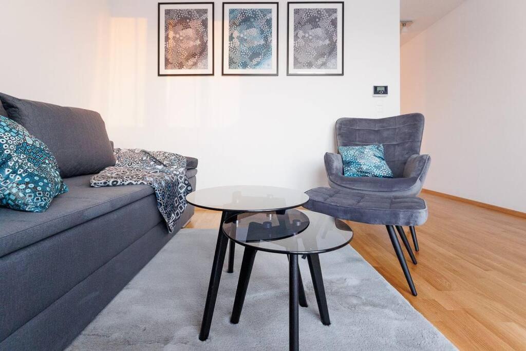 New! Amazing Spacious Schoenbrunn View