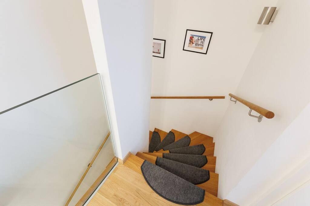 New! Amazing Spacious Schoenbrunn View