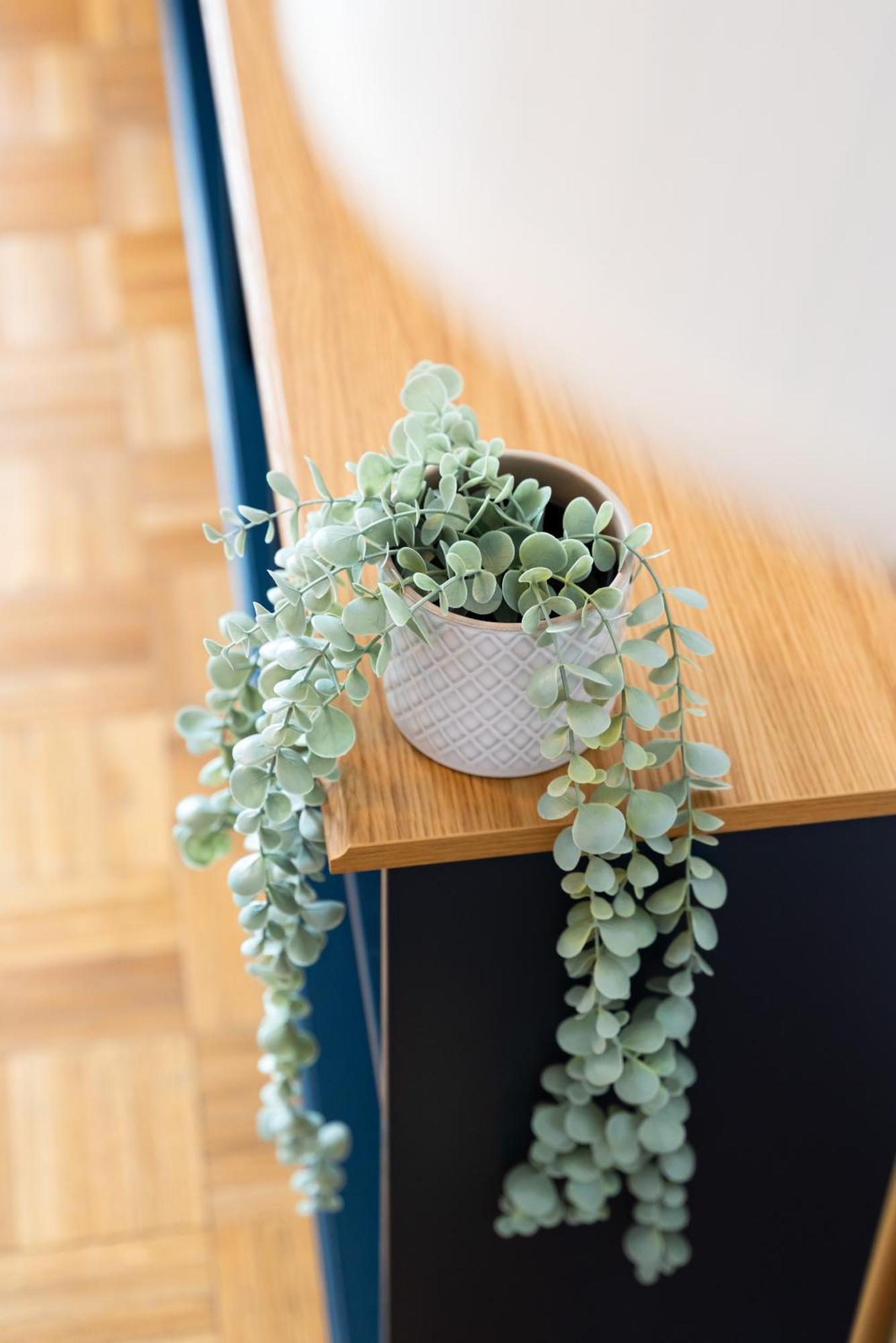 Apartamento Living Opera Viena