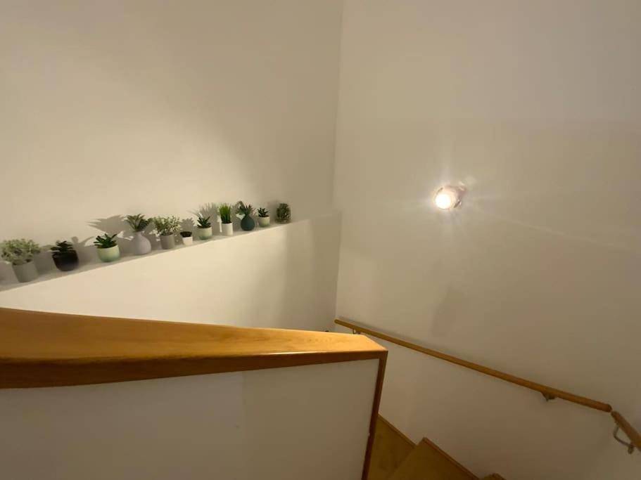 Erleben Sie L Bg3 Viena