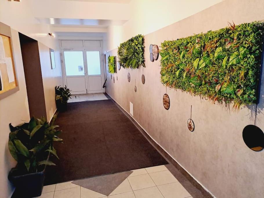 Apartamento Erleben Sie L Bg3 Viena