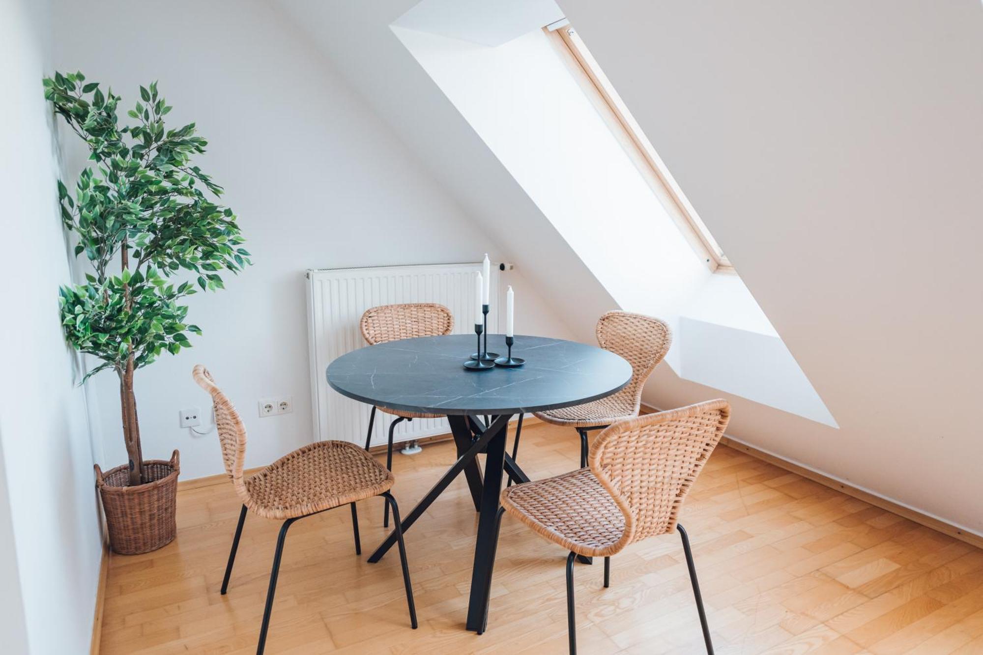 Apartment Stylish With Balcony And Rooftop Views Vienna