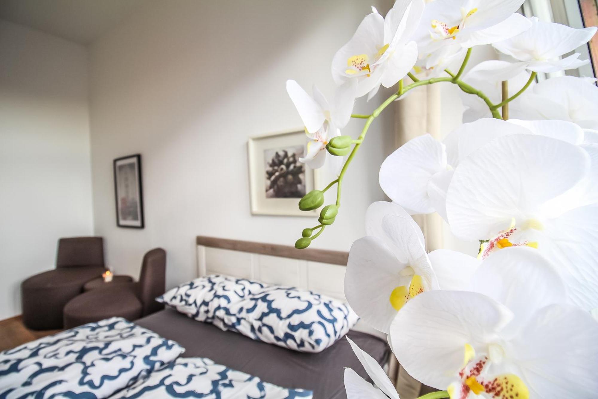 Disc Cozy In Liesing Homestay *