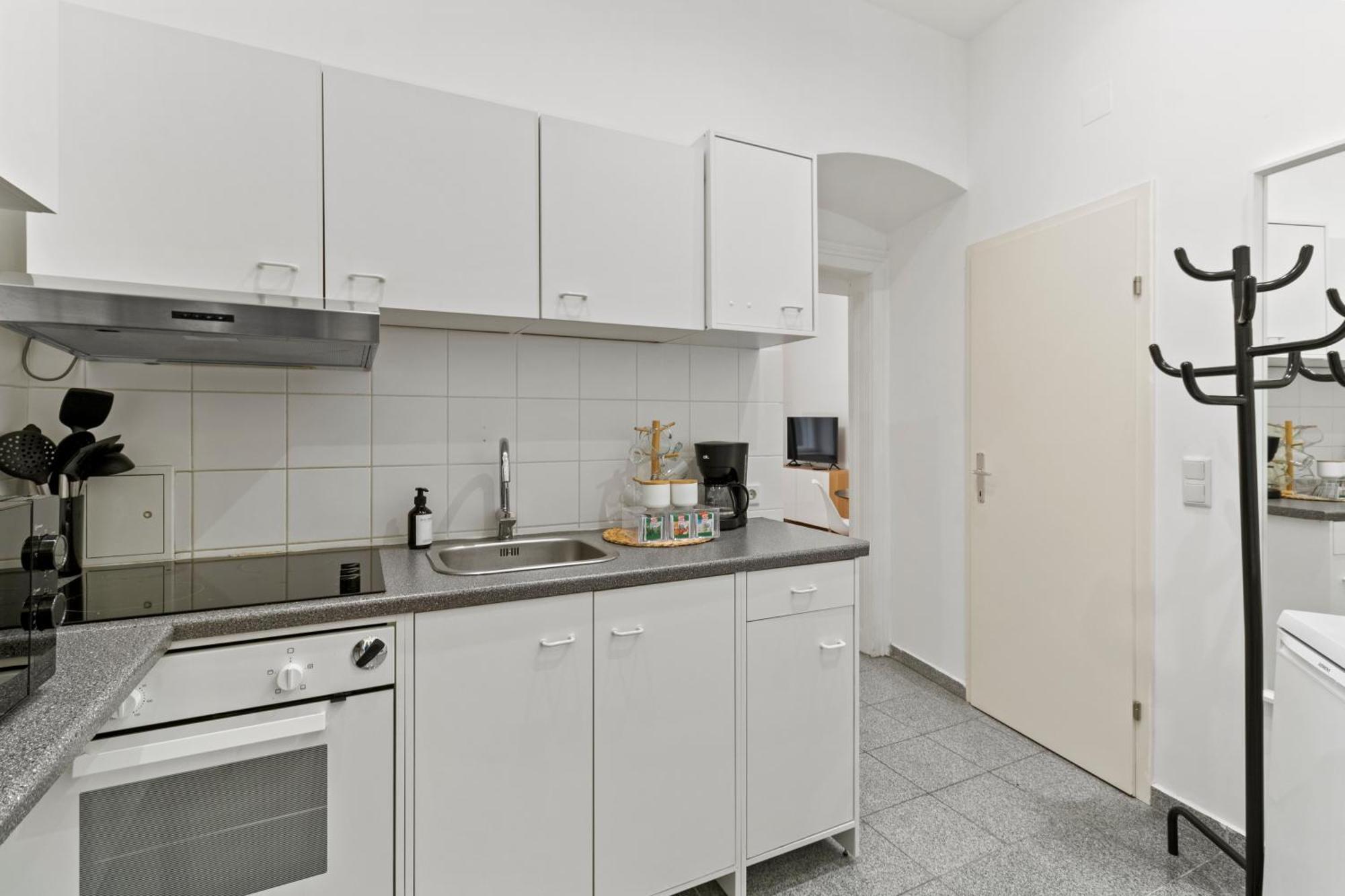 Designer Near Schoenbrunn Apartment Vienna