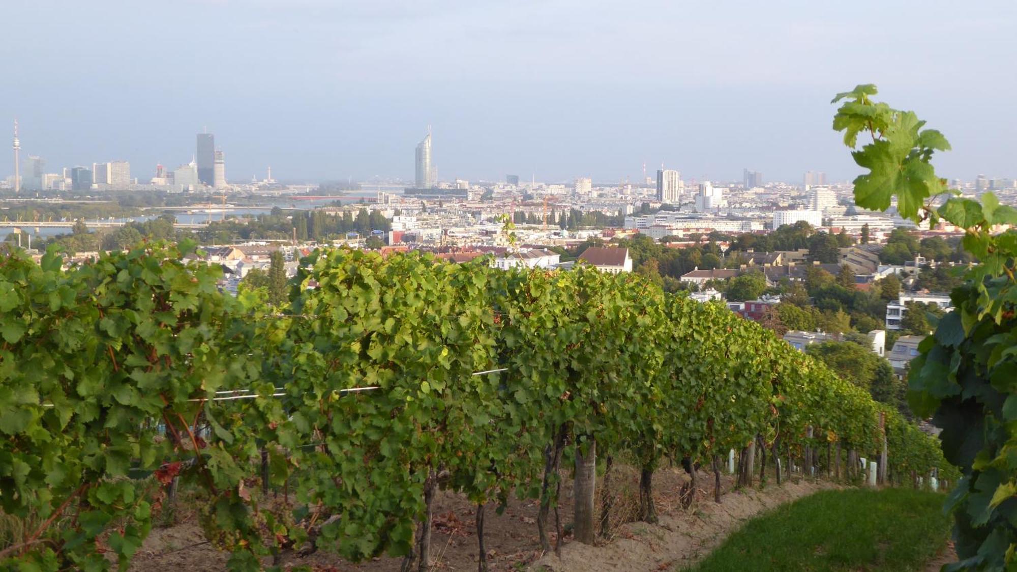 Apartamento Wohnen Im Schoensten Viertel Wiens *