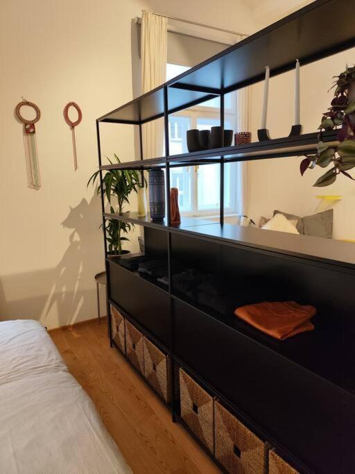 Designer Between Stephansdome And Belvedere Apartment